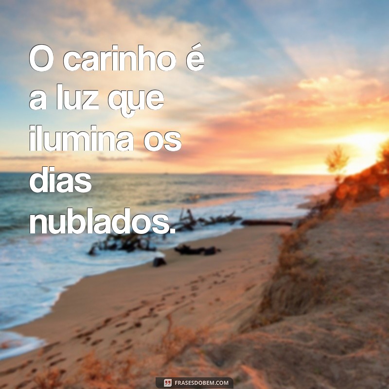 de carinho O carinho é a luz que ilumina os dias nublados.