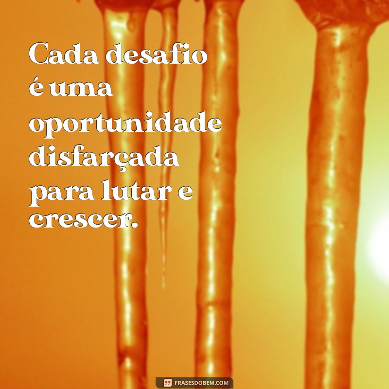 Frases Inspiradoras para Motivar sua Luta e Superação 