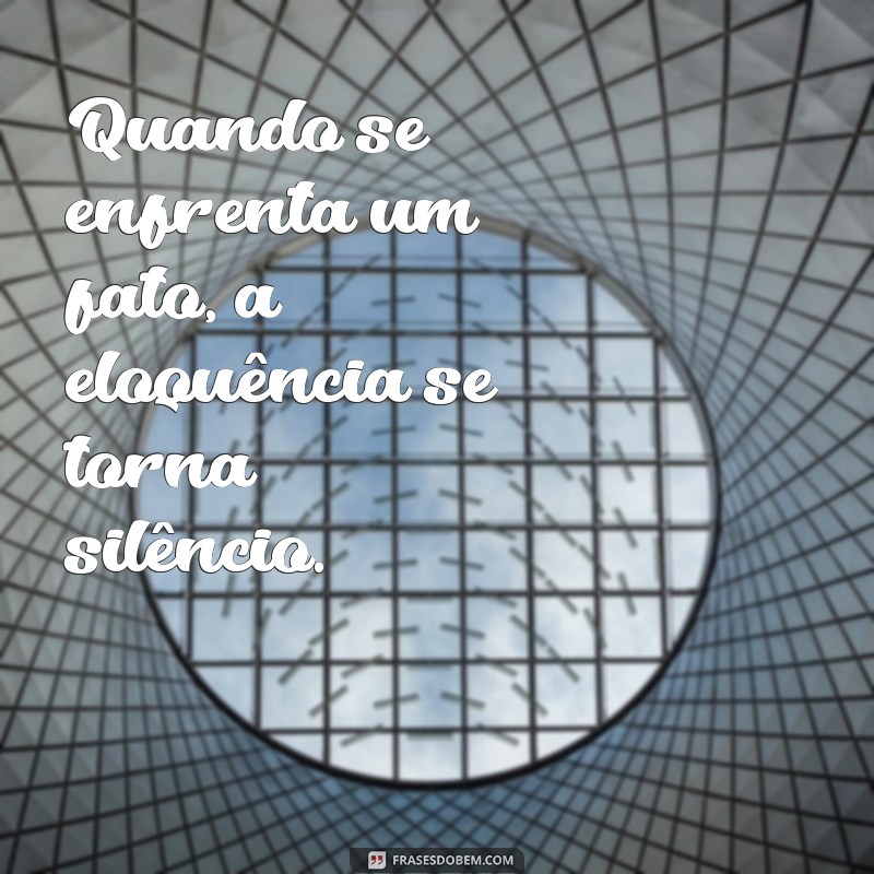 Frases Impactantes: Contra Fatos Não Há Argumentos - Reflexões e Inspirações 