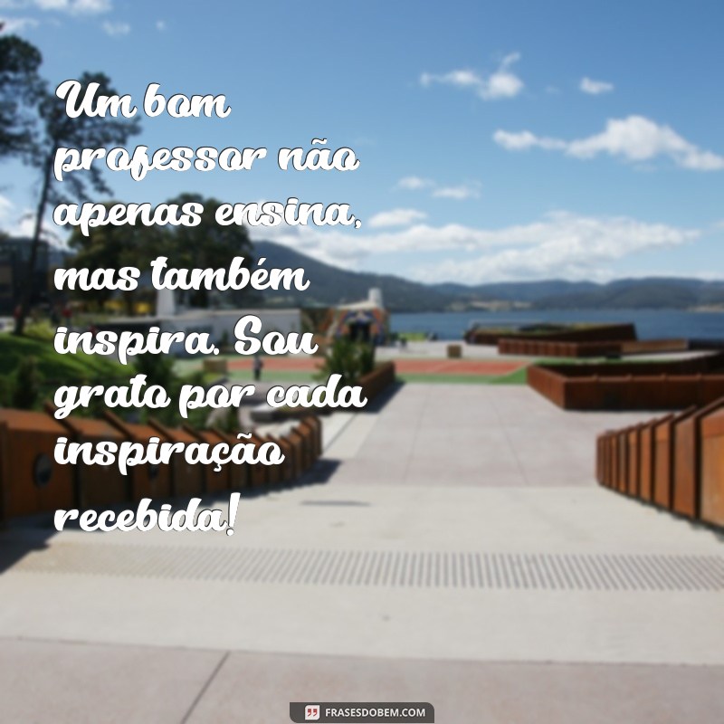 Frases Inspiradoras para Agradecer Professores no Final do Ano Letivo 