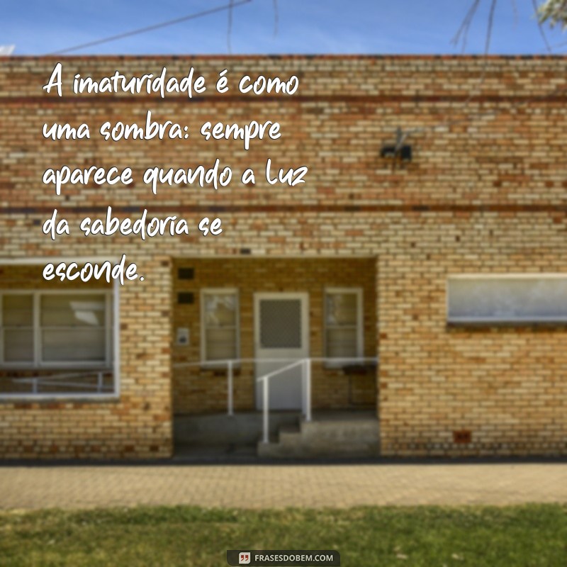 imaturidade A imaturidade é como uma sombra: sempre aparece quando a luz da sabedoria se esconde.