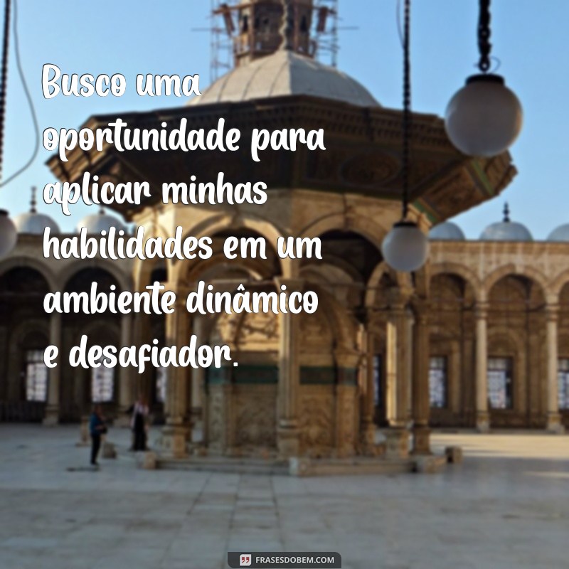 frases para colocar no currículo objetivo Busco uma oportunidade para aplicar minhas habilidades em um ambiente dinâmico e desafiador.