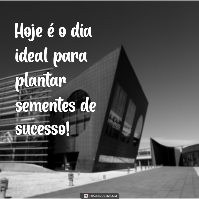 Impulsione Sua Quinta-Feira: 20 Frases de Motivação para Começar o Dia com Energia 