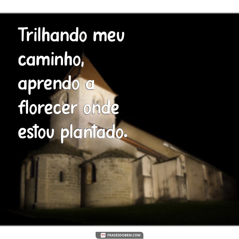 Trilhando Meu Caminho: Descubra Como Construir Sua Jornada Pessoal com Sucesso 