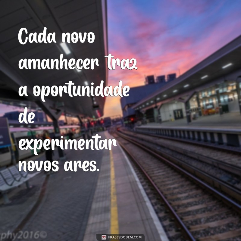 Frases Inspiradoras para Renovar sua Perspectiva e Trazer Novos Ares 