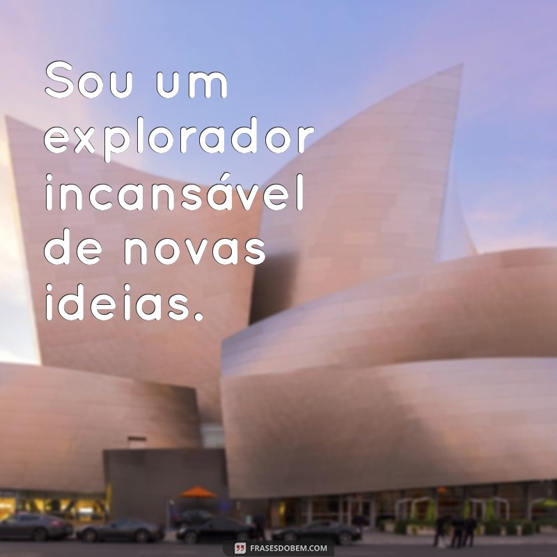 frases sobre mim Sou um explorador incansável de novas ideias.