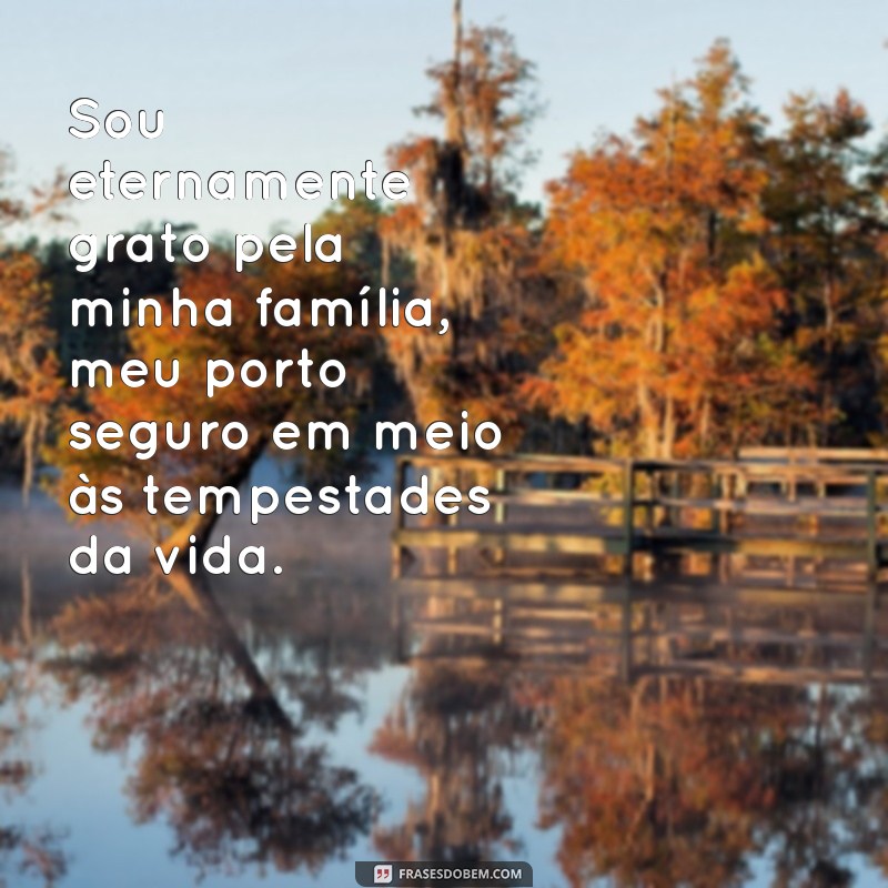 frases gratidão pela minha família Sou eternamente grato pela minha família, meu porto seguro em meio às tempestades da vida.