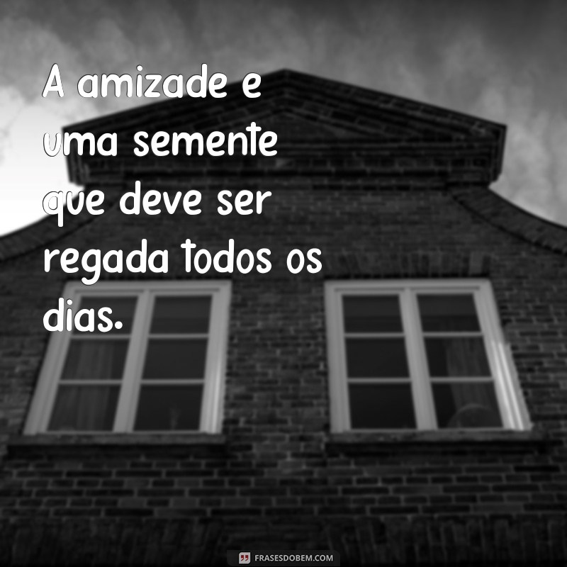 Descubra as melhores frases curtas sobre amizade para compartilhar com seus amigos 