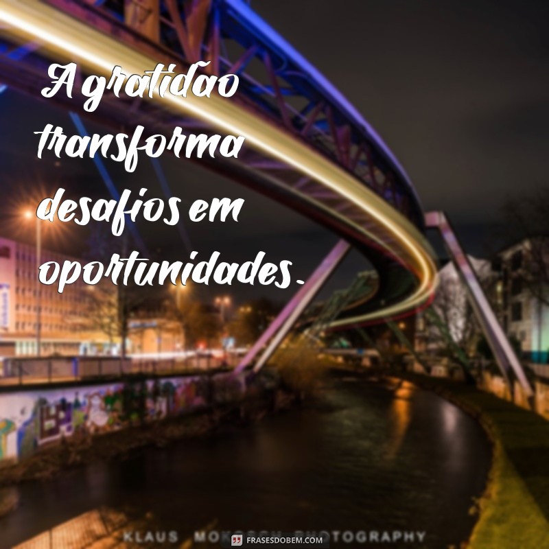 As Melhores Frases de Gratidão para Status: Inspire e Compartilhe! 