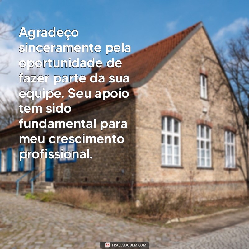 agradecimento ao chefe pela oportunidade Agradeço sinceramente pela oportunidade de fazer parte da sua equipe. Seu apoio tem sido fundamental para meu crescimento profissional.