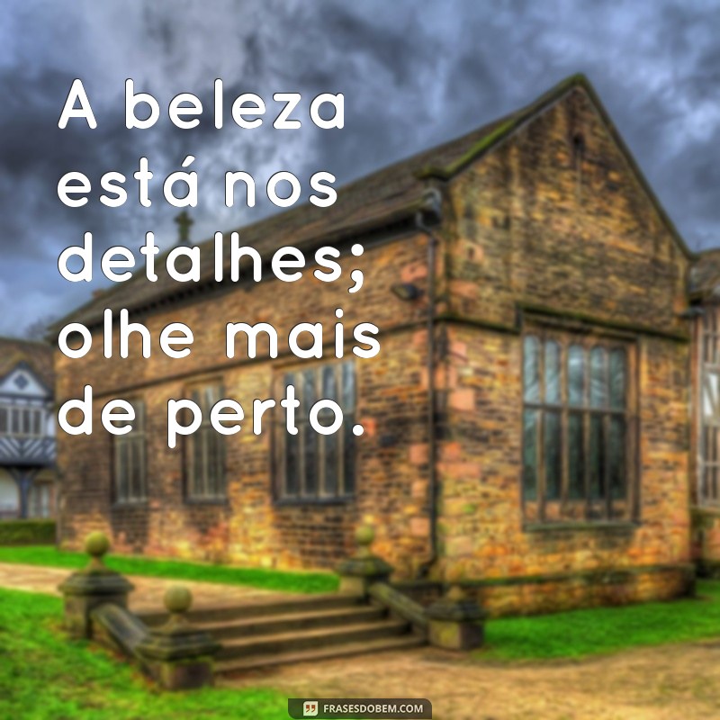 Frases Inspiradoras para Acompanhar Suas Fotos de Paisagens 