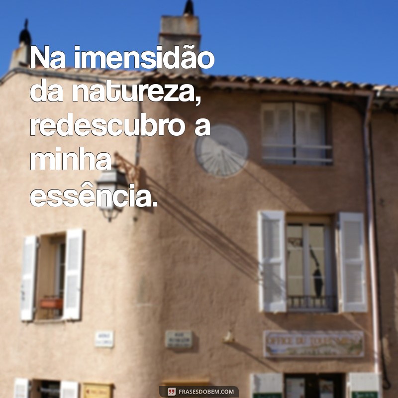 Frases Inspiradoras para Acompanhar Suas Fotos de Paisagens 