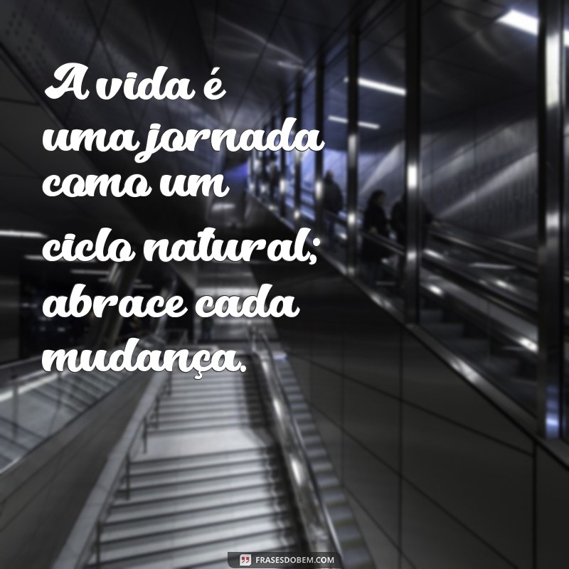 Frases Motivacionais Inspiradas na Natureza para Renovar sua Energia 