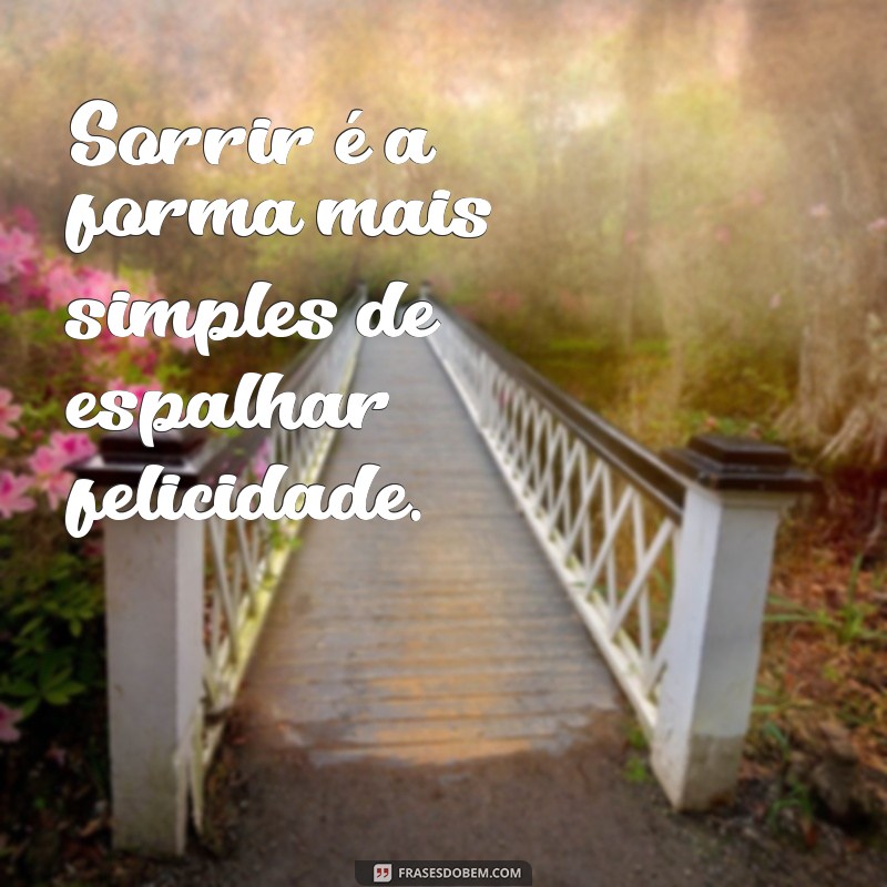 Descubra Frases Inspiradoras para Valorizar Seu Melhor Sorriso 