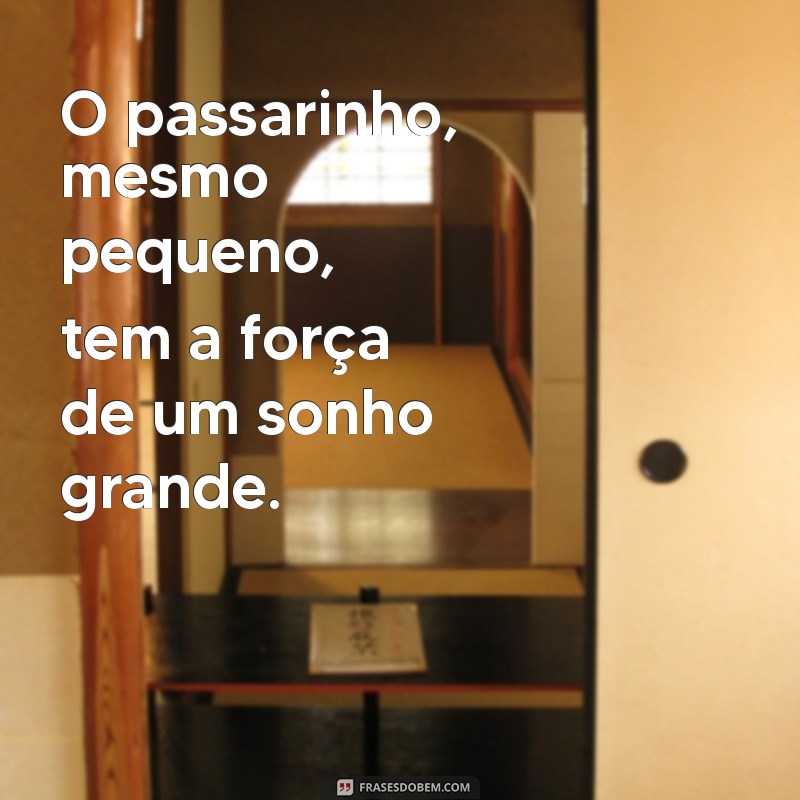 Frases Inspiradoras com a Palavra Passarinho para Refletir e Compartilhar 