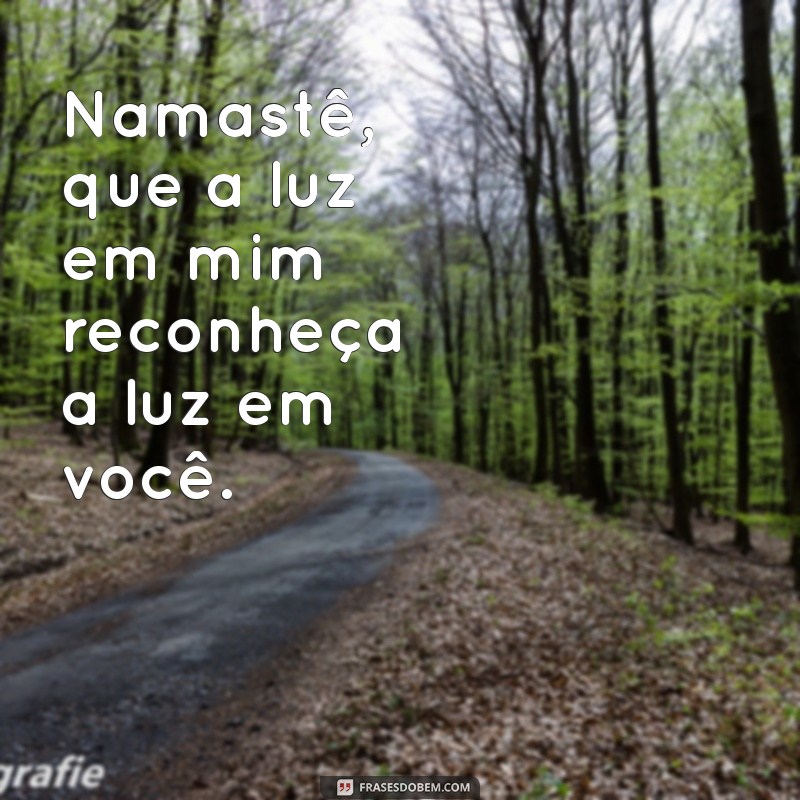 namastê frases positivas Namastê, que a luz em mim reconheça a luz em você.