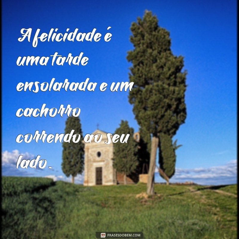 Frases Inspiradoras sobre o Amor Incondicional dos Cães 