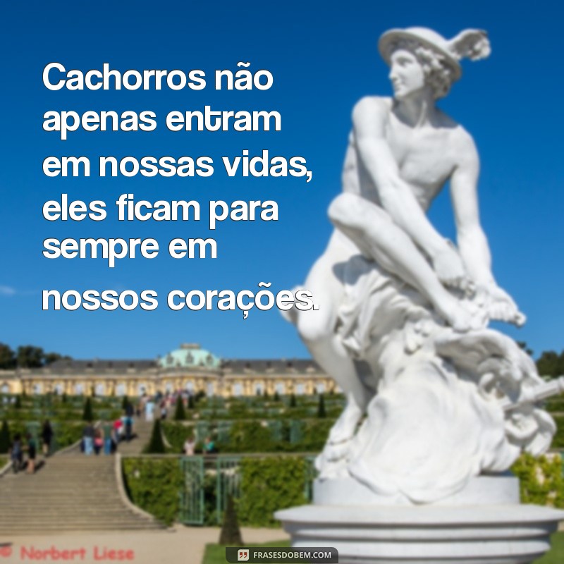 Frases Inspiradoras sobre o Amor Incondicional dos Cães 