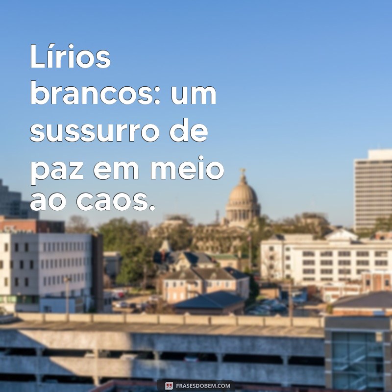 Descubra os Encantos dos Lírios: Cuidados, Variedades e Significados 