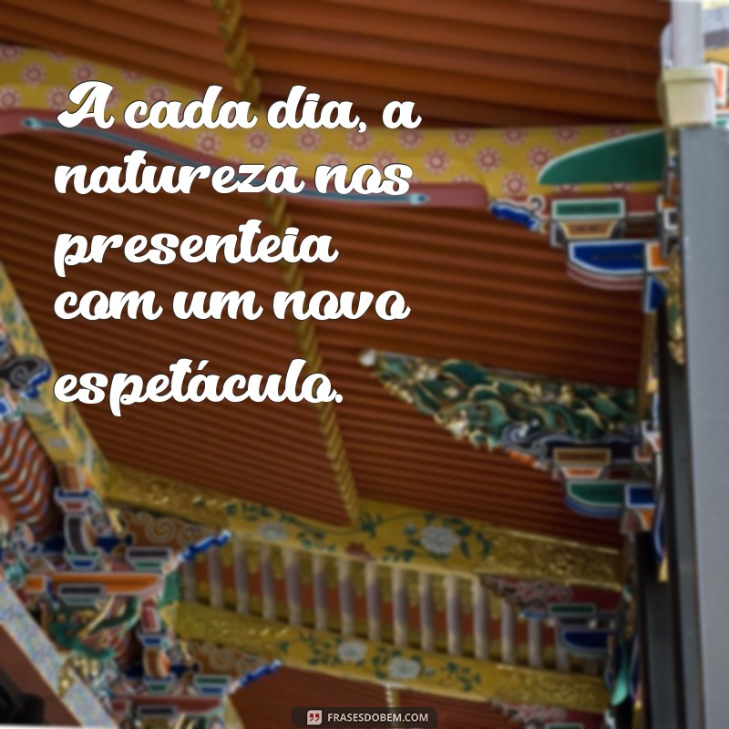 Descubra a beleza da natureza em 30 frases curtas e inspiradoras 