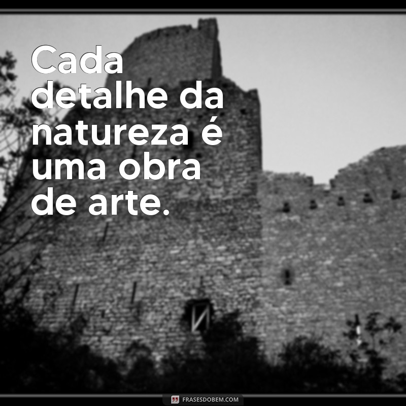 Descubra a beleza da natureza em 30 frases curtas e inspiradoras 