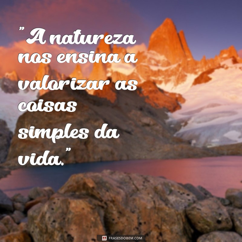 frases natureza frases curtas 