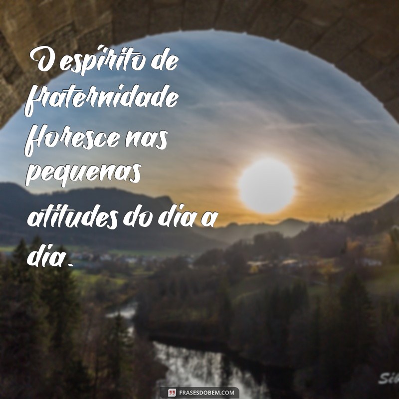 Frases Inspiradoras sobre Fraternidade: Celebre o Amor e a União 