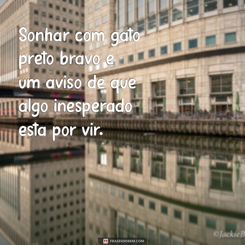 sonhar com gato preto bravo Sonhar com gato preto bravo é um aviso de que algo inesperado está por vir.