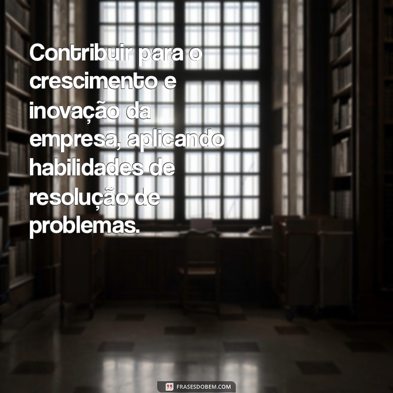 ideias para colocar no objetivo do curriculo Contribuir para o crescimento e inovação da empresa, aplicando habilidades de resolução de problemas.