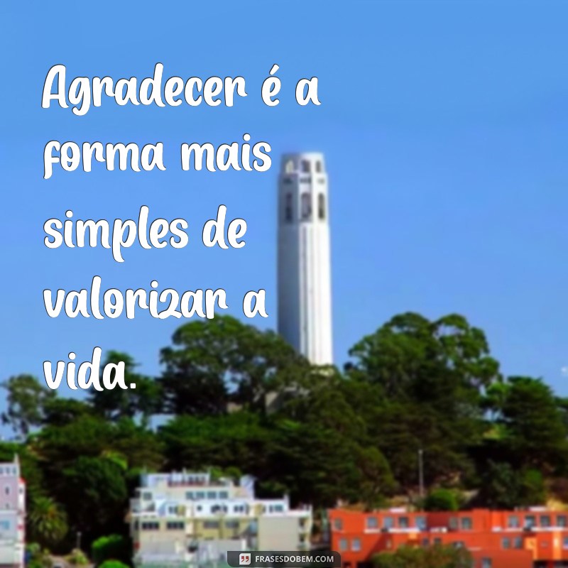 As Melhores Frases de Gratidão para Status do WhatsApp: Inspire-se e Compartilhe 