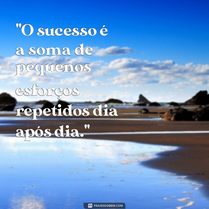 frases profissional 