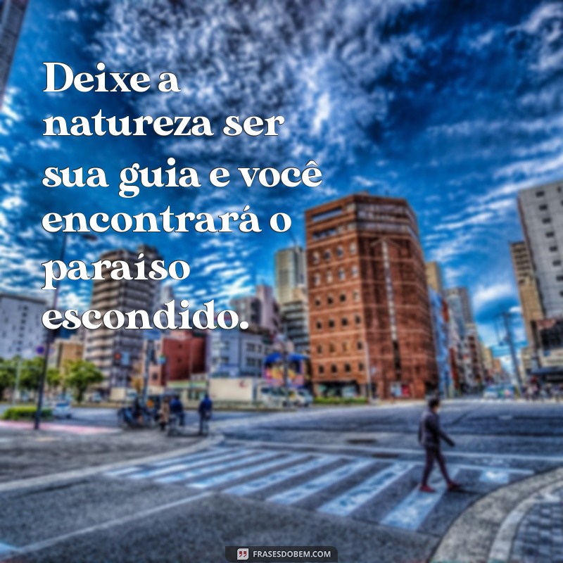 Descubra as Melhores Frases sobre o Paraíso para Inspirar sua Vida 