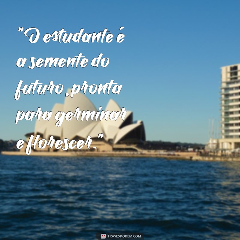 frases sobre estudante 