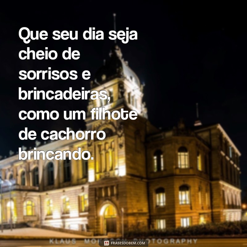 Encante seu dia com as melhores frases de bom dia com animais 