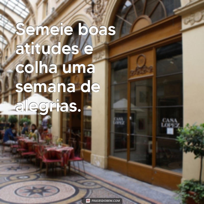 Frases Inspiradoras para Começar a Nova Semana com Motivação 