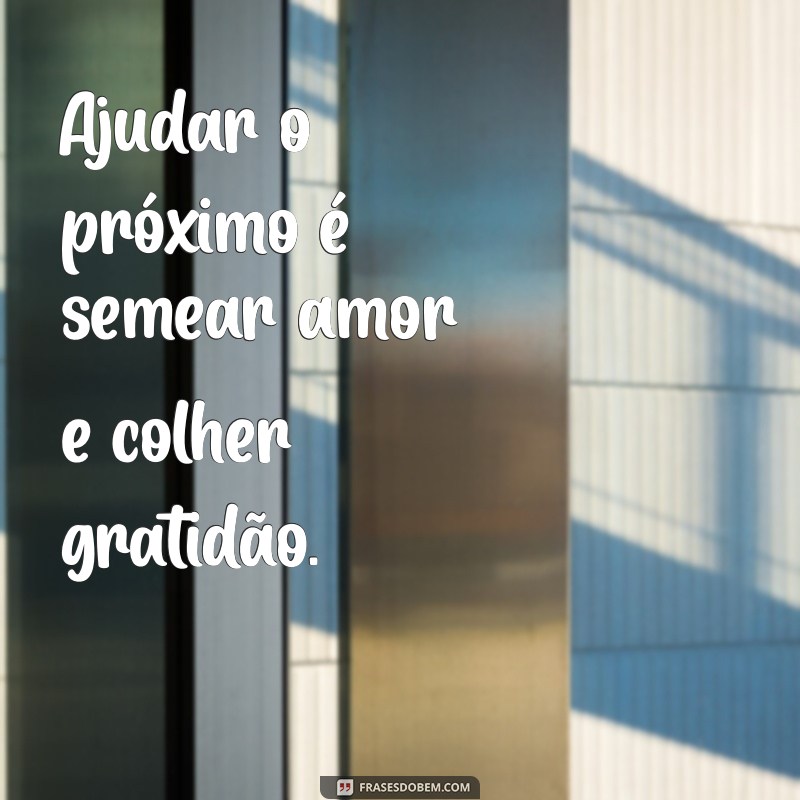 frases sobre ajudar Ajudar o próximo é semear amor e colher gratidão.