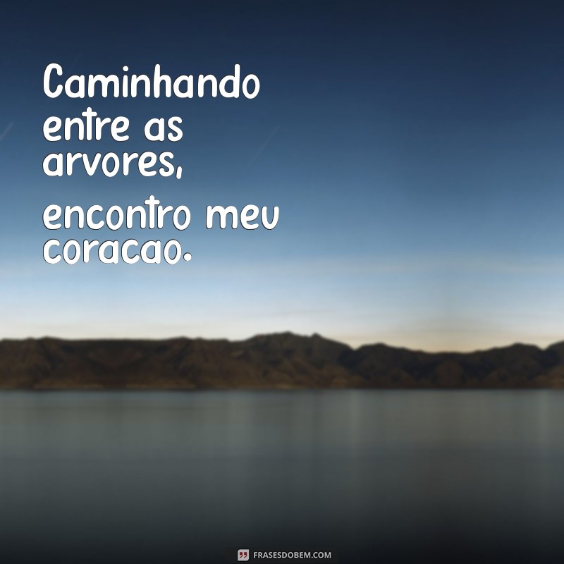 As Melhores Frases para Capturar a Beleza da Natureza em Suas Fotos 