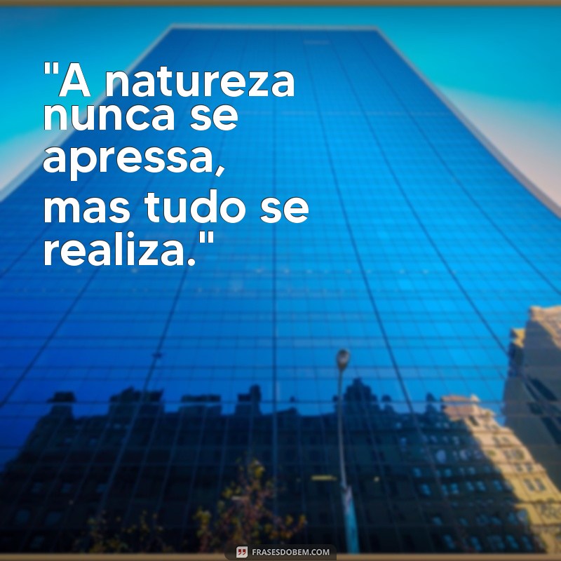 frases para foto de natureza 