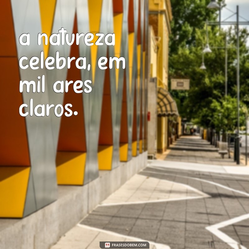 Bom Dia: Poemas Inspiradores para Começar o Dia com Alegria 