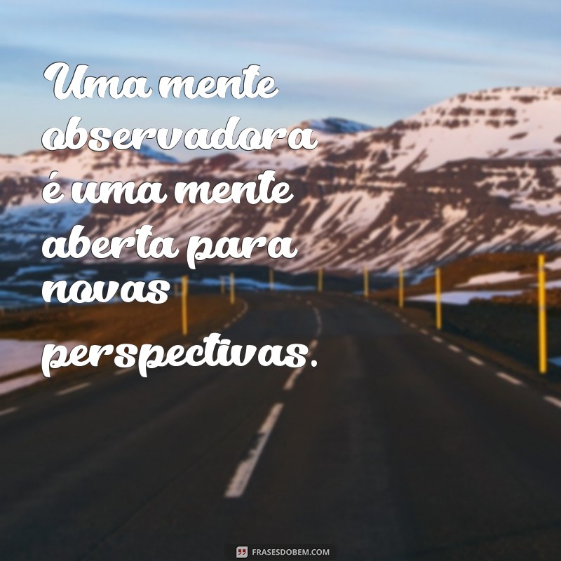 Descubra as melhores frases de pessoas observadoras para refletir e se inspirar 