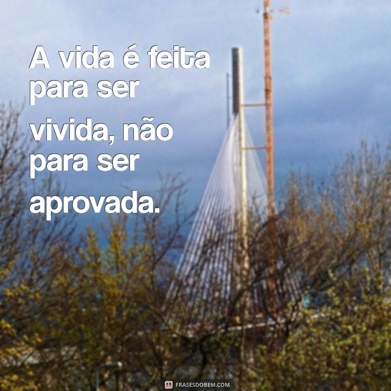 Aprenda a Lidar com Críticas: Por Que Quem Não Gosta de Você Continuará Assim 