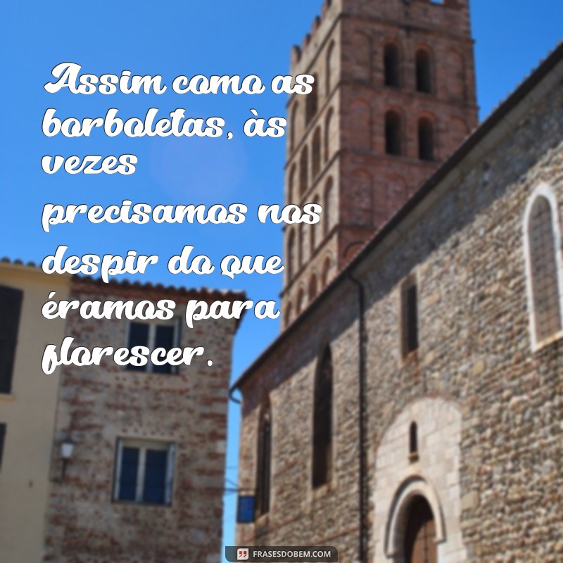 Frases Inspiradoras sobre Borboletas para Arrasar no Tumblr 