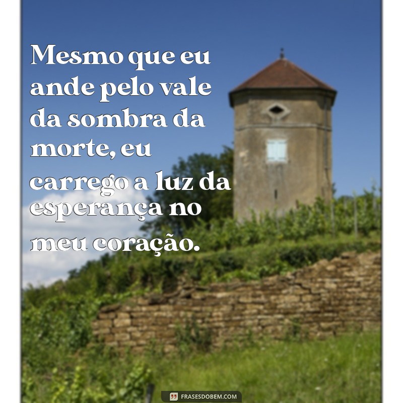 frases mesmo que eu ande pelo vale da sombra da morte Mesmo que eu ande pelo vale da sombra da morte, eu carrego a luz da esperança no meu coração.