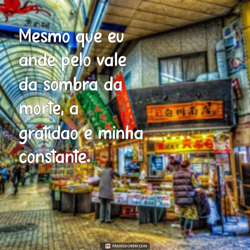 Frases Inspiradoras para Enfrentar o Vale da Sombra da Morte 