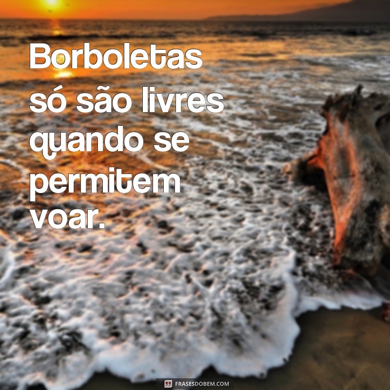 Descubra as mais belas frases borboleta para inspirar seu feed do Tumblr 