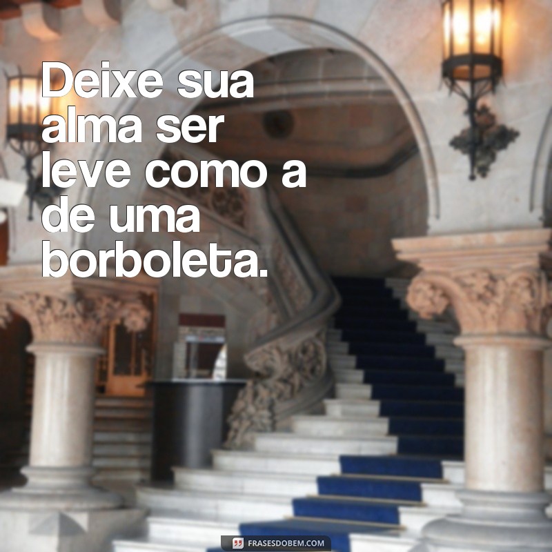 Descubra as mais belas frases borboleta para inspirar seu feed do Tumblr 