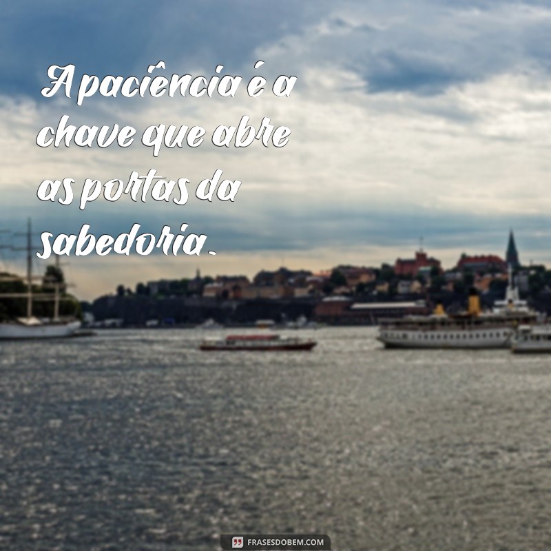 mensagem de provérbios A paciência é a chave que abre as portas da sabedoria.