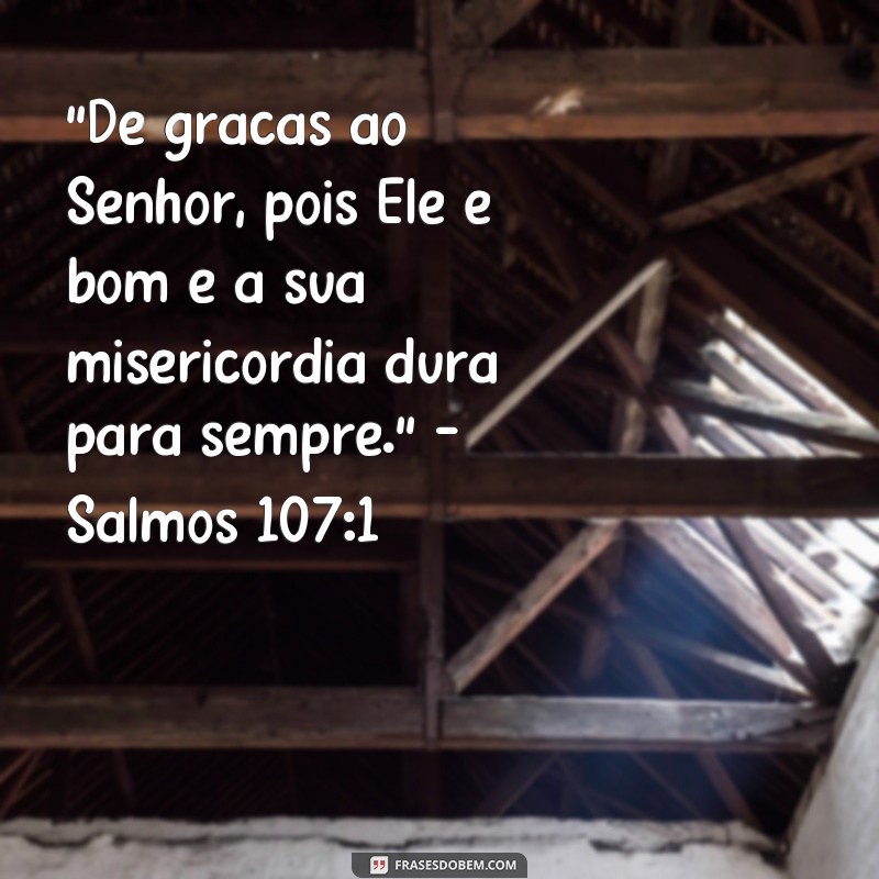 frases versículo sobre gratidão a Deus 