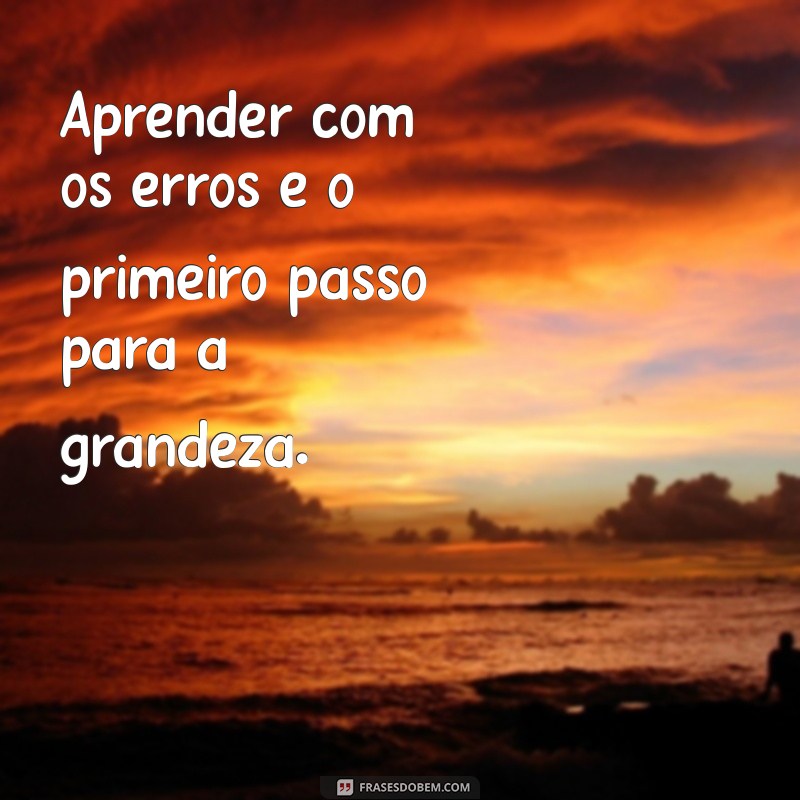 Frases Inspiradoras para Aprender com os Erros e Crescer na Vida 