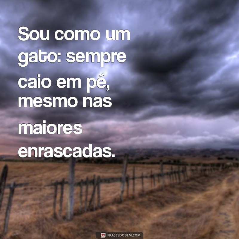 As Melhores Frases de Malandragem para Inspirar sua Atitude 